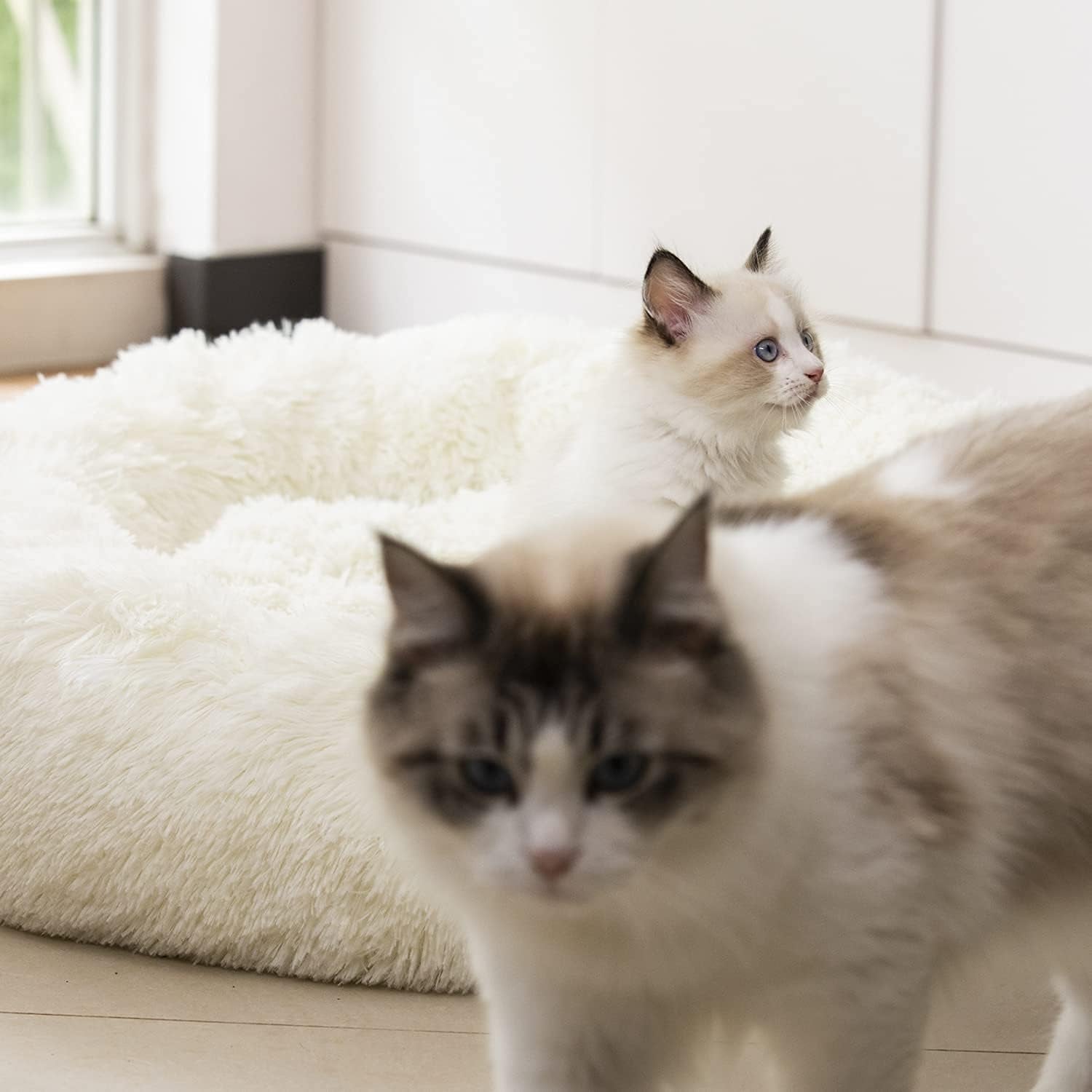 Anti-Anxiety Plush Faux Fur Washable Pet Bed for Dogs and Cats, Joint Relief and Sleep Improvement, Available in 20", 24", and 27" (27", White)