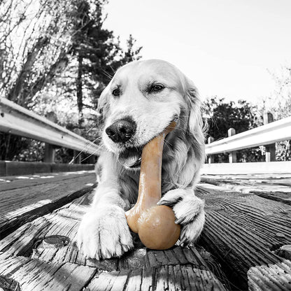Dinosaur Barkbone Nylon Dog Bone for Aggressive Chewers, Bacon Flavor, 8.5 Inches