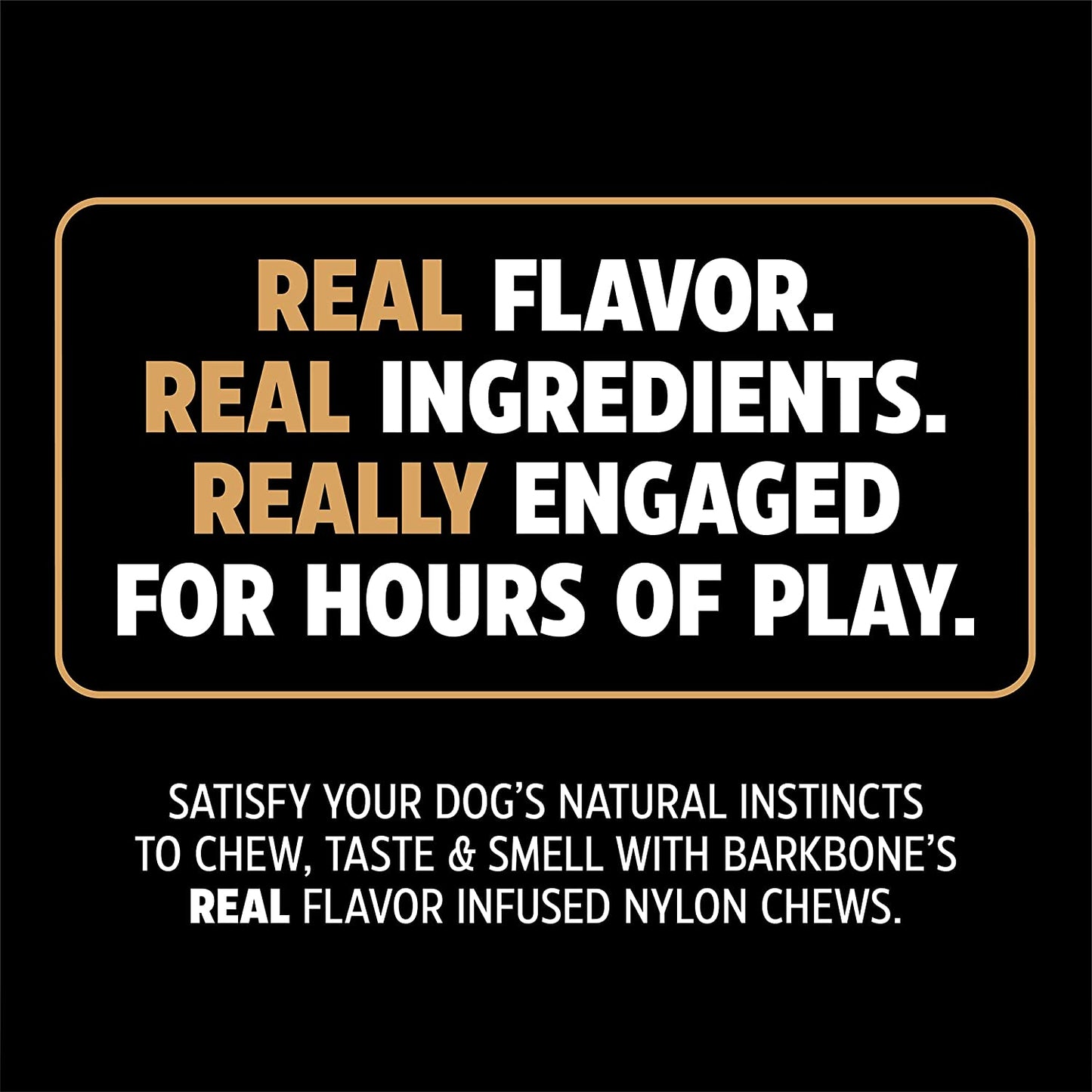 Dinosaur Barkbone Nylon Dog Bone for Aggressive Chewers, Bacon Flavor, 8.5 Inches