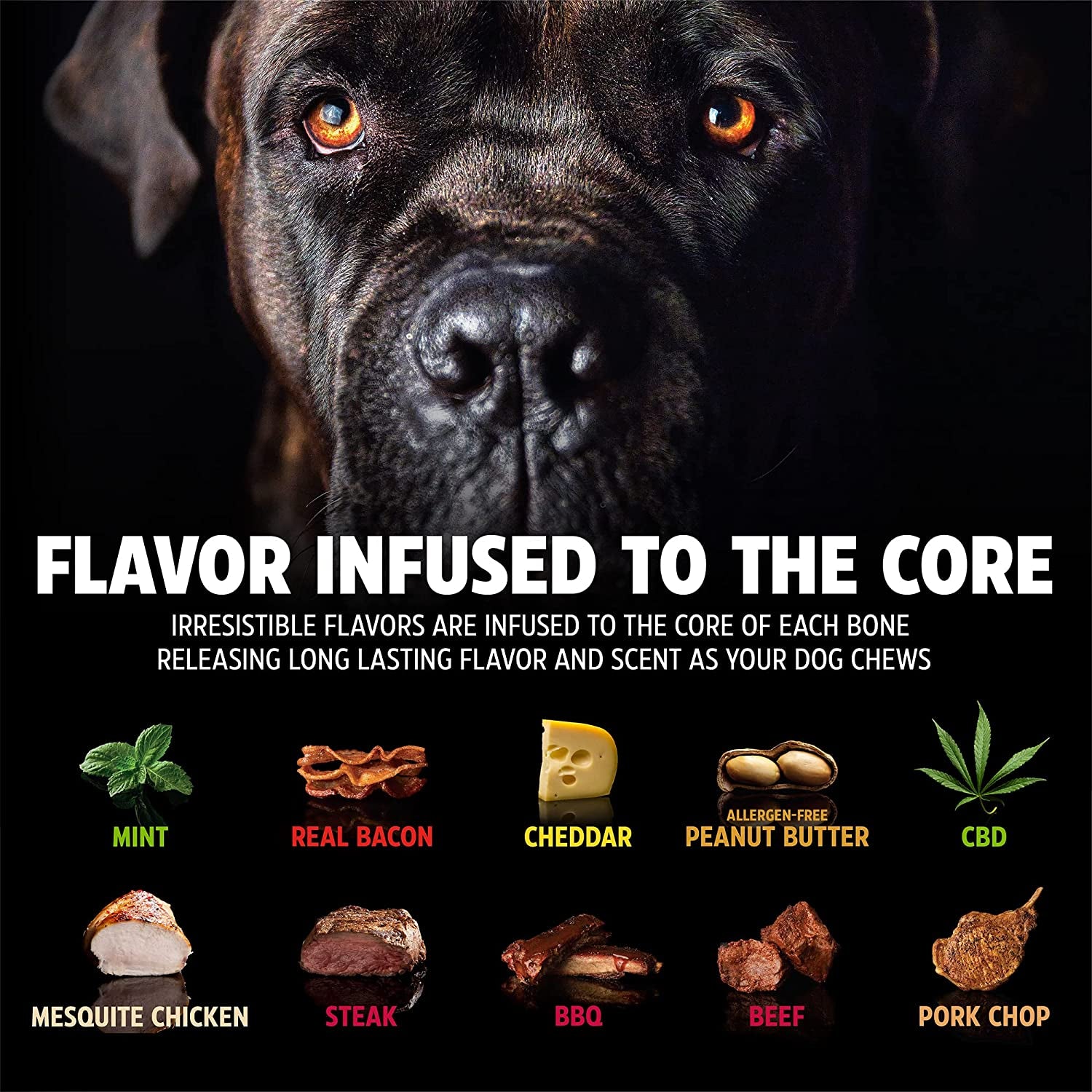 Dinosaur Barkbone Nylon Dog Bone for Aggressive Chewers, Bacon Flavor, 8.5 Inches