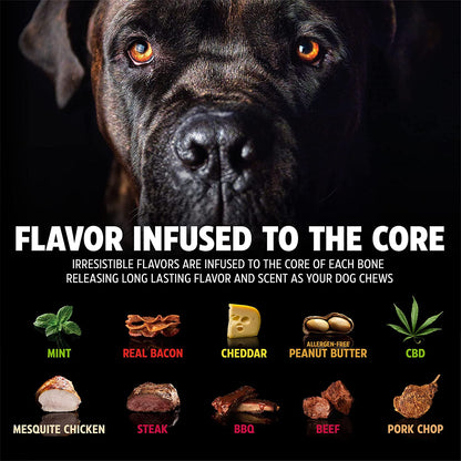 Dinosaur Barkbone Nylon Dog Bone for Aggressive Chewers, Bacon Flavor, 8.5 Inches